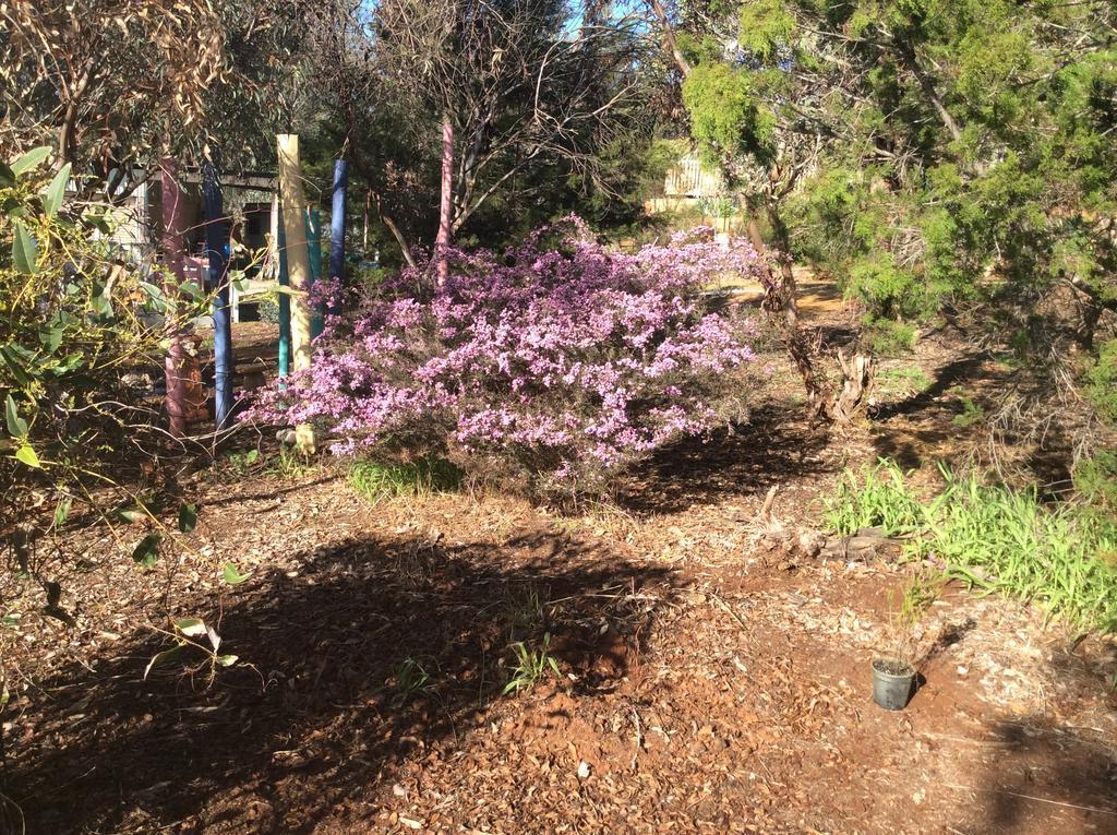 Bed and Breakfast Floravalley Toodyay Exterior foto