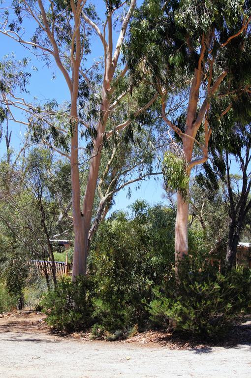 Bed and Breakfast Floravalley Toodyay Exterior foto